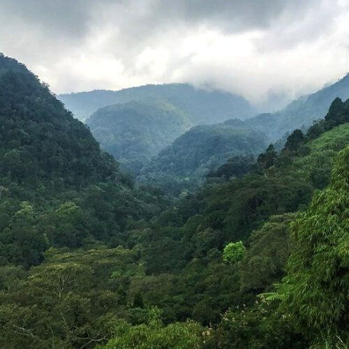 The Future of Sustainable Change in Technology