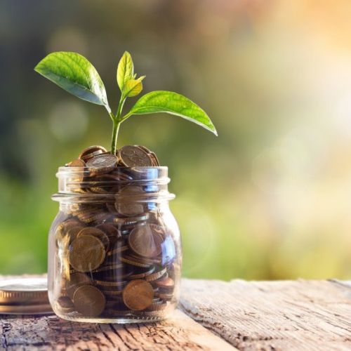 Breaking the bias with the Newton Venture Program