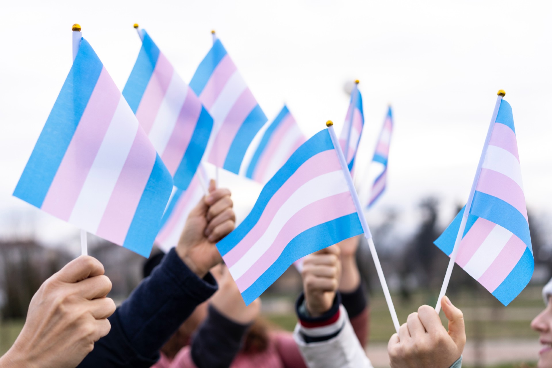 Guest CEO Blog: Transgender Awareness Week 2024 by Samuel Bailey, Marketing Analyst 
