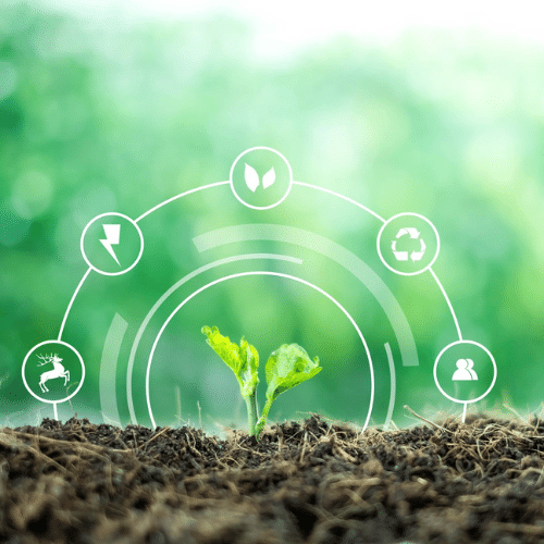 ESG is not just a slogan; get it wrong and you'll lose business.